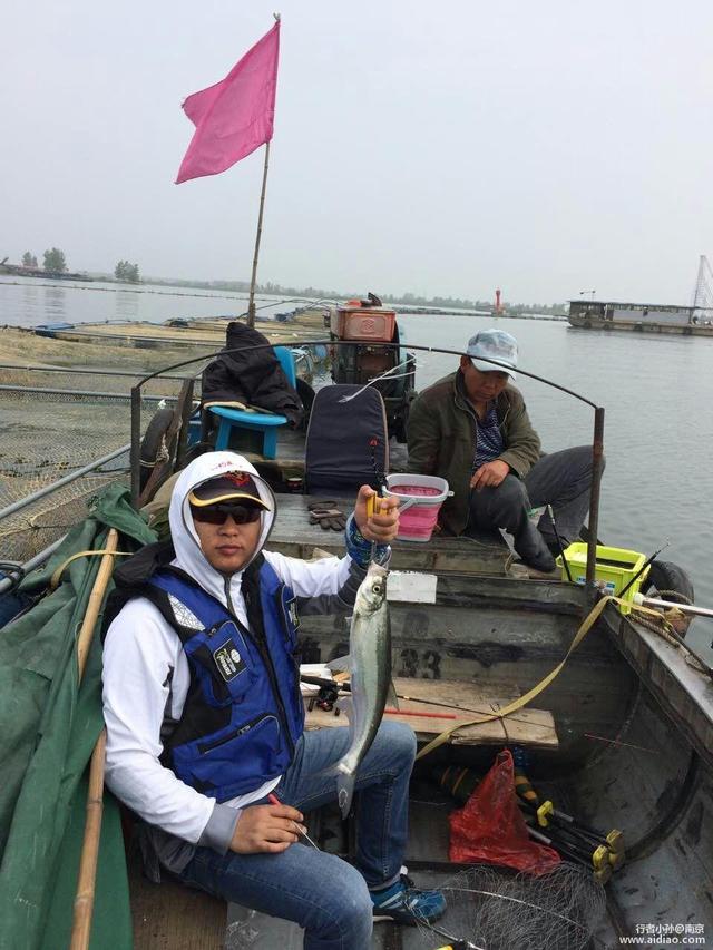 駱馬湖釣魚最新動態(tài)，探索垂釣天堂的新篇章