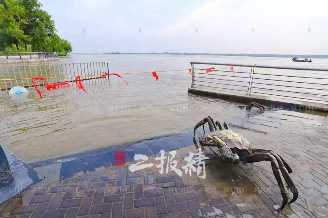 蕪湖濱江公園二期最新進(jìn)展及未來(lái)展望