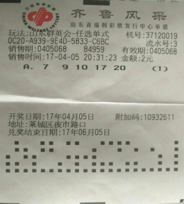 山東群英會最新開獎號揭秘，探索與期待