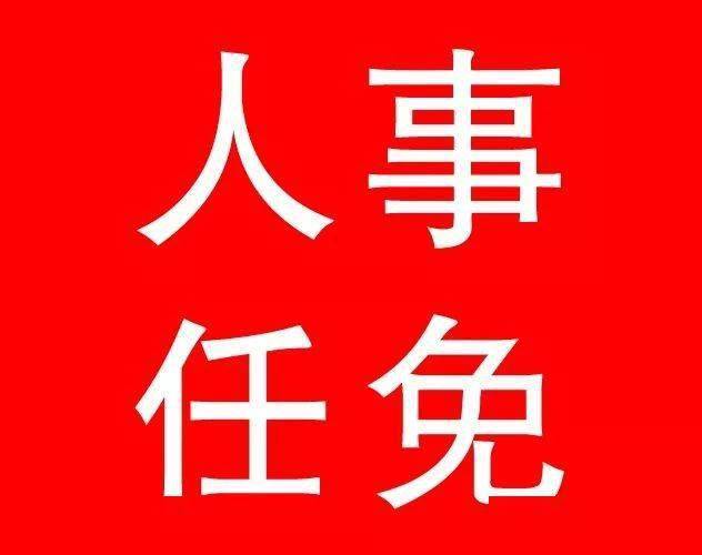 最新各省省委常委任免動(dòng)態(tài)，人事變動(dòng)及其影響分析