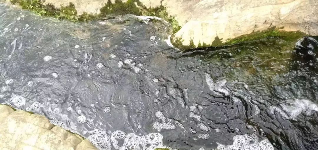 羅平板橋水怪最新動態(tài)，神秘現(xiàn)象的最新解讀與探索