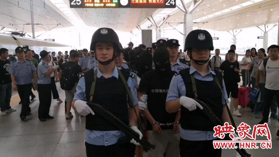 河南網絡詐騙案件深度分析與警示