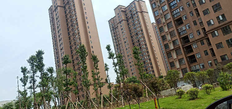 漢川奧林新都最新消息深度解析與概述