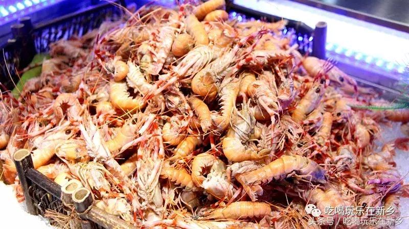 新鄉(xiāng)寶龍區(qū)域房價動態(tài)，最新消息與市場走勢購房指南