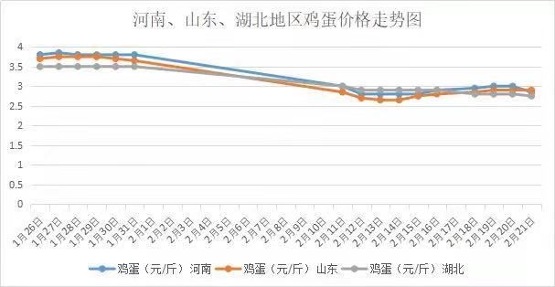 雞蛋最新報(bào)價(jià)及市場(chǎng)走勢(shì)分析與預(yù)測(cè)