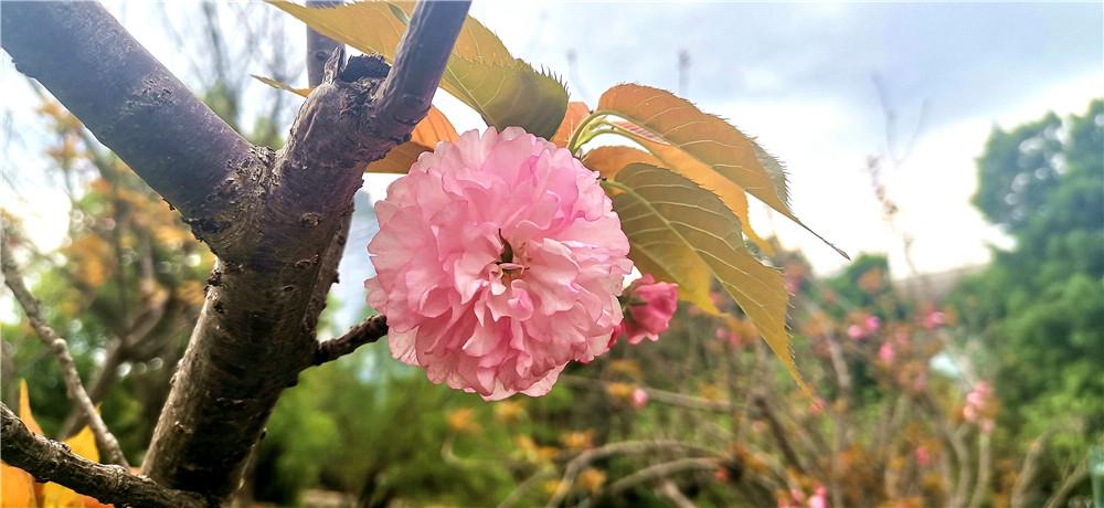 吉安最新招聘信息概覽，最新職位與招聘動態(tài)更新