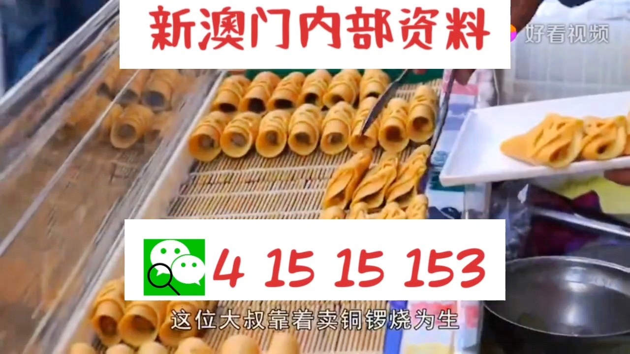 新澳門資料大全2024揭秘暢游博彩世界新法則_攻略秘籍分享