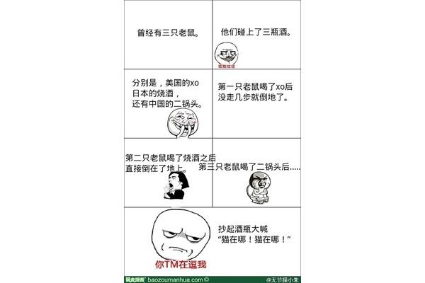 最新冷笑話集錦大放送