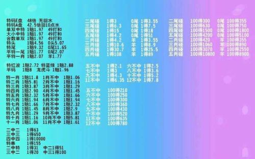 精準(zhǔn)一肖100準(zhǔn)確含義大揭秘深度剖析解析解答_終極指南2023