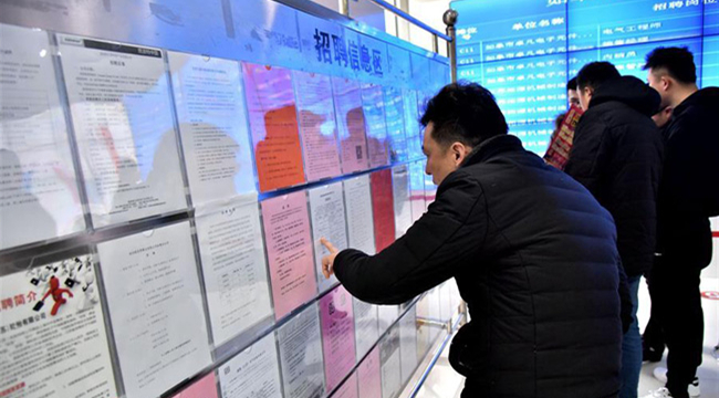 如皋最新招聘信息全面概覽