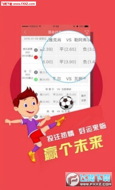 二四六天天好彩每期文字資料大全，專業(yè)執(zhí)行問題_Lite83.84.31