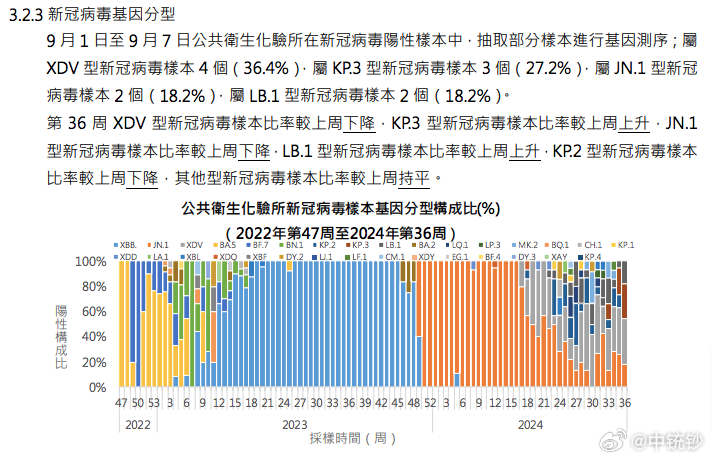 2024澳門天天彩期期精準，實地考察數(shù)據(jù)執(zhí)行_P版26.74.8