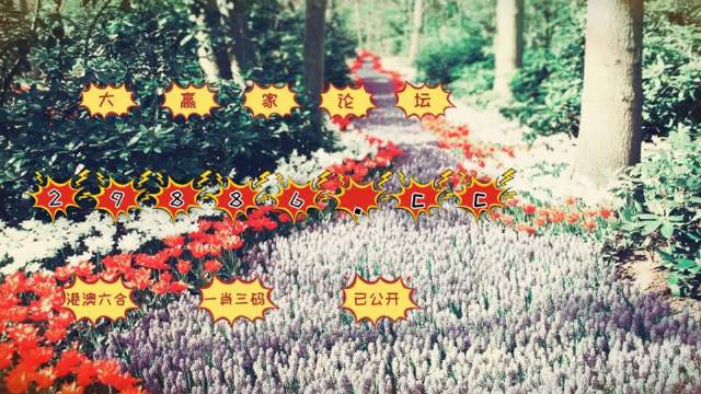 精準(zhǔn)一肖一碼100準(zhǔn)最準(zhǔn)一肖_，可靠性計劃解析_Tizen34.15.50