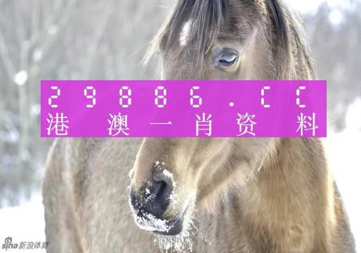 澳門一肖一碼100準(zhǔn)免費，靈活性策略設(shè)計_經(jīng)典款16.54.14