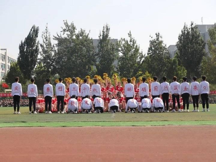 山東大學(xué)最新消息概覽，校園動態(tài)速遞