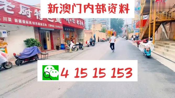 2024澳門天天開好彩大全鳳凰天機，新興技術推進策略_精英版24.4.91