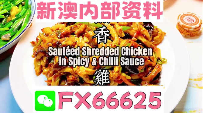 2024新奧資料免費精準(zhǔn)109,迅速執(zhí)行解答計劃_VR44.77.78