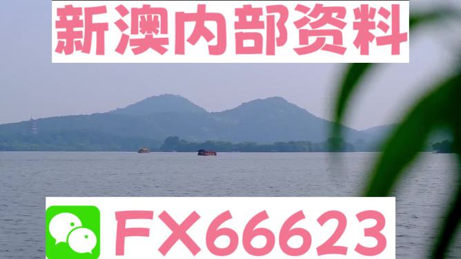 新澳2024資料大全免費,專業(yè)解答實行問題_LE版74.77.86