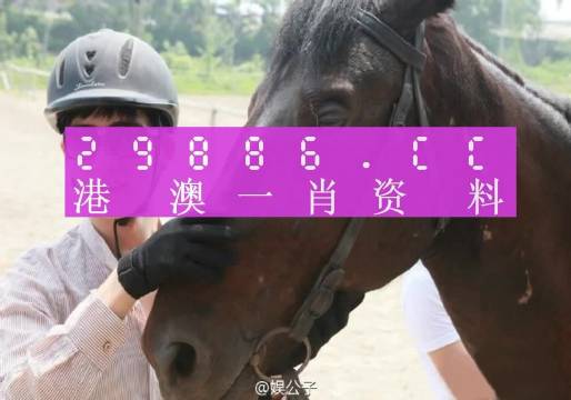 澳門(mén)一肖一碼一必中一肖，全面解答解釋落實(shí)_V94.57.43