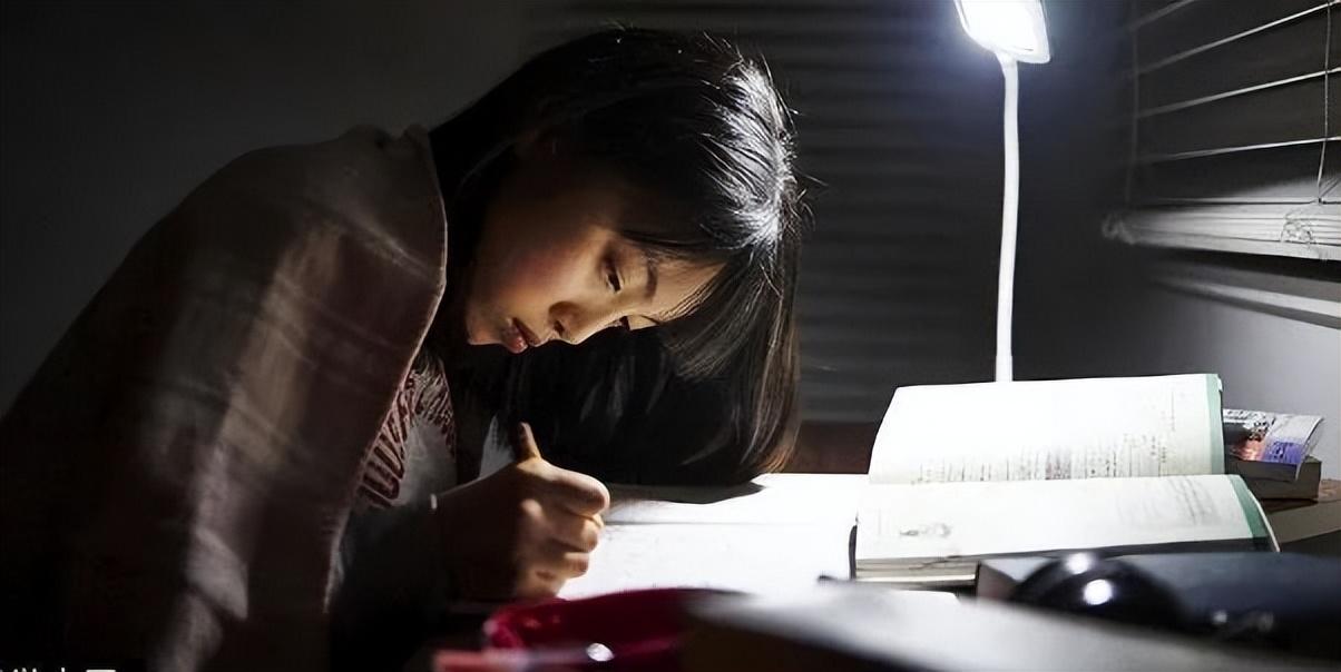 博士補助國家最新標準詳解，申請與了解的步驟指南