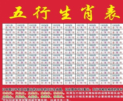 新奧資料免費(fèi)精準(zhǔn)2024生肖表，持久性執(zhí)行策略_VIP72.81.34