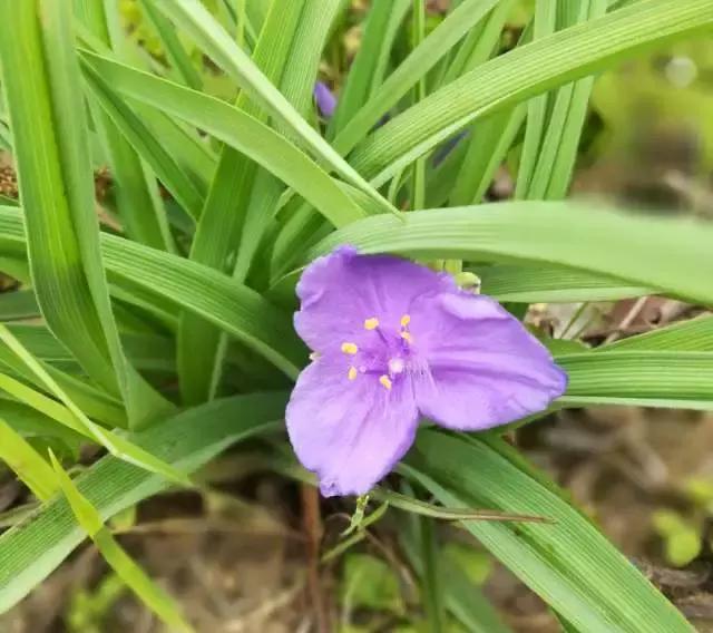 上海遺屬補助政策更新與小巷深處的特色小店探秘