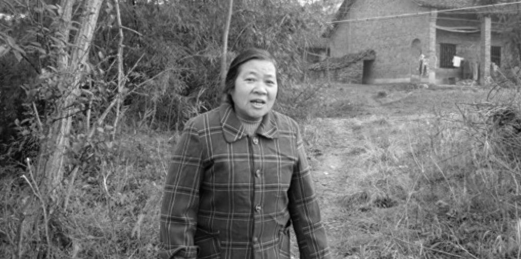關(guān)于鄉(xiāng)村亂情胡秀英的警示，遵守法律，遠(yuǎn)離色情內(nèi)容，關(guān)注健康閱讀