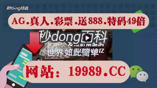 2024澳門天天六開彩查詢,深入數(shù)據(jù)應(yīng)用計(jì)劃_過渡版7.04
