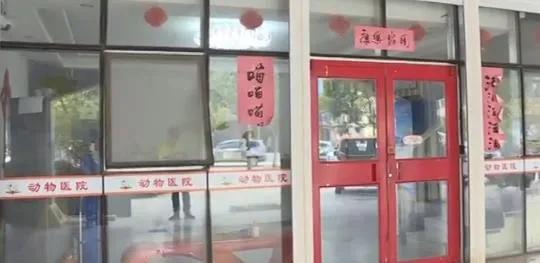 金昌最新房屋出租信息及追夢人的安居與成長力量