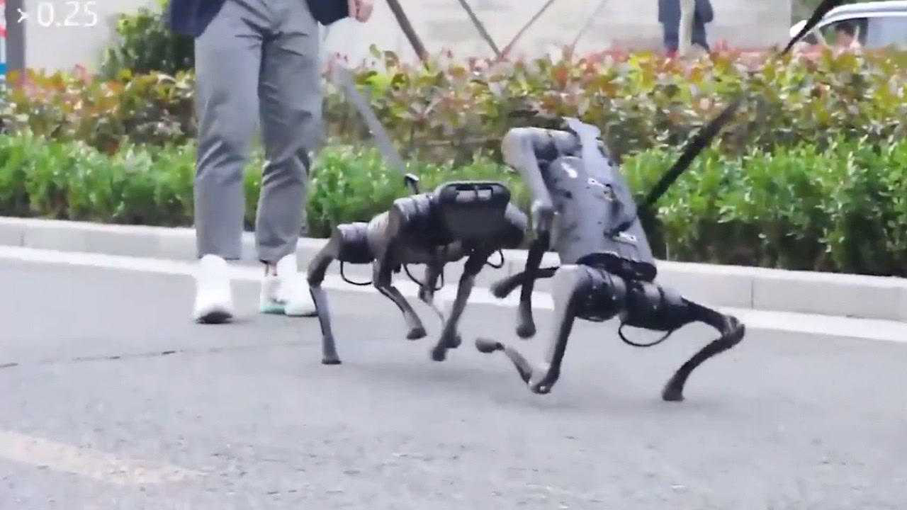 管家婆一肖一碼100%準(zhǔn)確_特斯拉將推出機(jī)器人遛狗服務(wù),創(chuàng)新計劃執(zhí)行_頂級版88.88.41