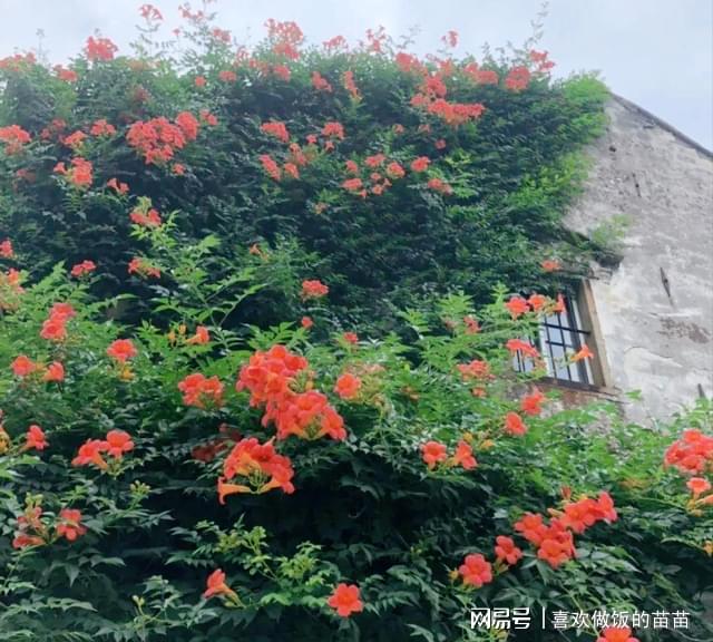 探索自然美景 第17頁