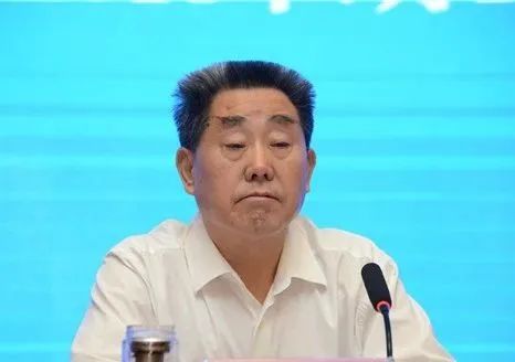 河南人大常委會原副主任劉滿倉被查，事件深度解析與觀點論述