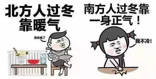 斷崖式冷空氣來襲，挑戰(zhàn)中的斗志燃燒與成長之路