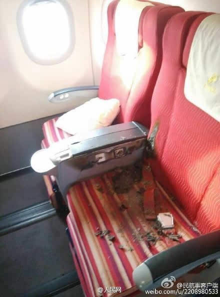 深圳航空航班煙霧事件背后的勵志故事揭秘