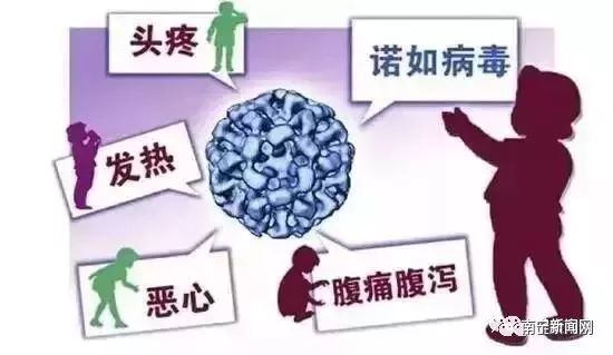 諾如病毒高發(fā)季感染態(tài)勢及其影響深度解析