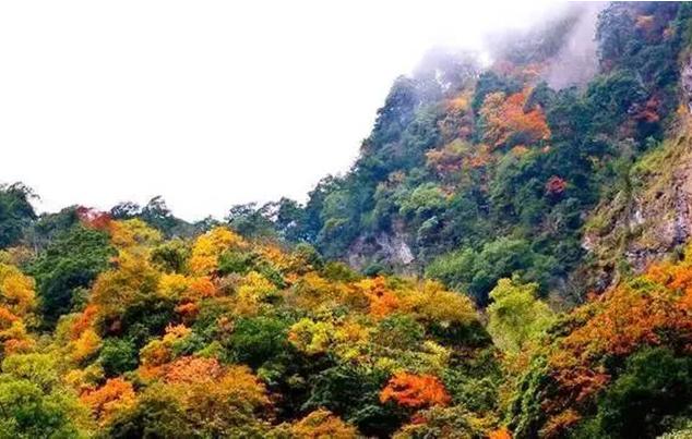 成都拆遷補(bǔ)貼