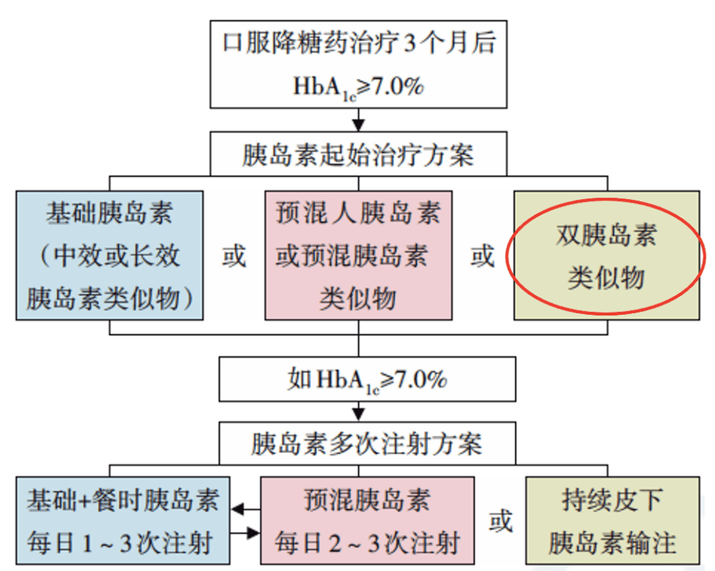 鄭召玉最新比賽深度解讀與觀點分享