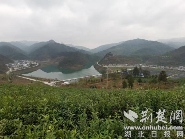 竹山縣寶豐鎮(zhèn)發(fā)展雙刃劍效應(yīng)揭秘，最新動(dòng)態(tài)與應(yīng)對(duì)策略