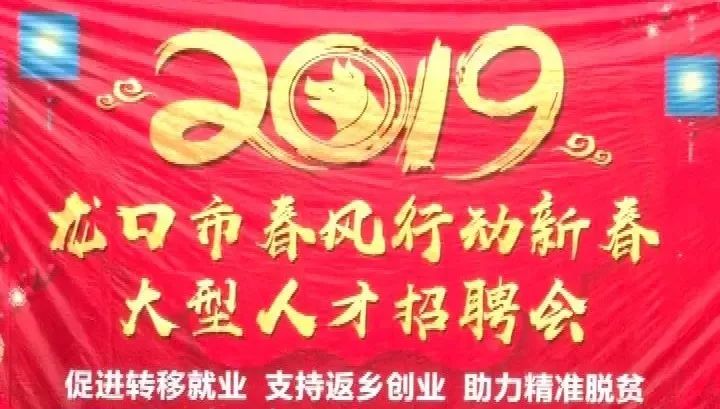 小巷里的職業(yè)寶藏