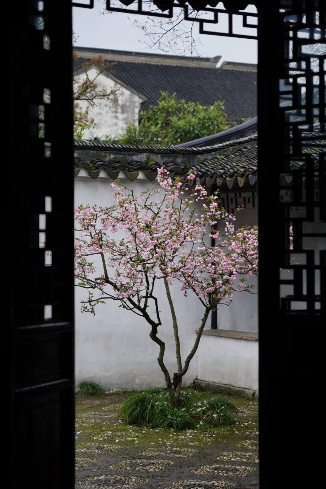 探索小小在時(shí)代中的獨(dú)特地位與影響力