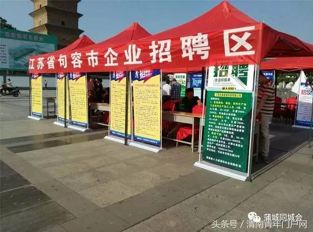 蒲城縣最新招聘信息今日發(fā)布，小巷深處的職業(yè)機(jī)遇