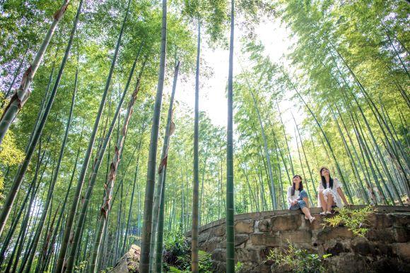 探索自然美景 第15頁