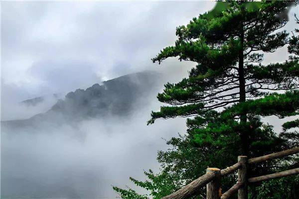 林云最新章節(jié)，自然美景的邂逅與內(nèi)心平和之旅免費閱讀