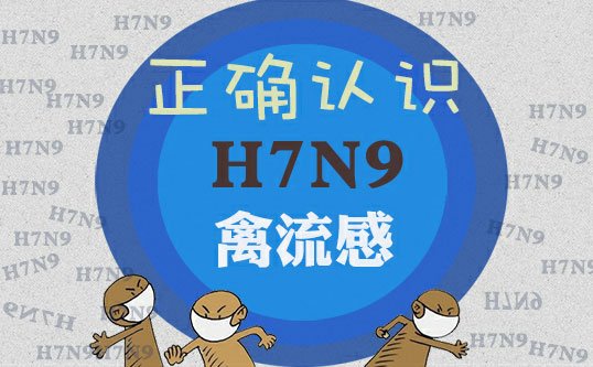 浙江禽流感最新動態(tài)與溫馨日常故事回顧
