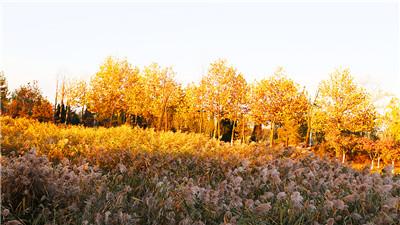 海陽房產(chǎn)最新價(jià)格及自然美景探索，內(nèi)心平靜的尋找之旅