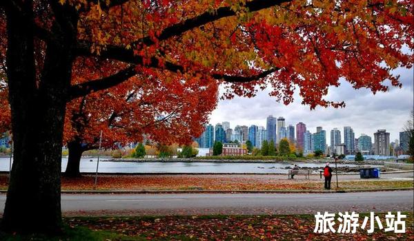 最新外匯查詢，一場自然美景的治愈之旅探索