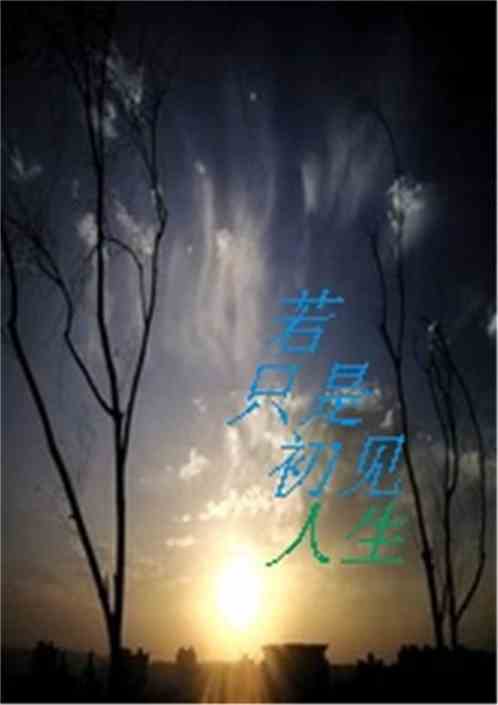 道神最新章節(jié)，奇幻之旅揭秘神秘世界