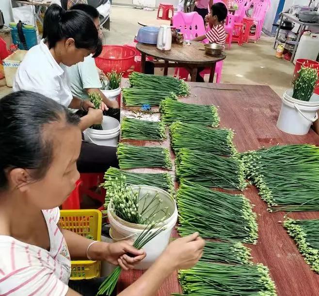 懷集冷坑最新規(guī)劃揭秘，小巷中的意外發(fā)現(xiàn)