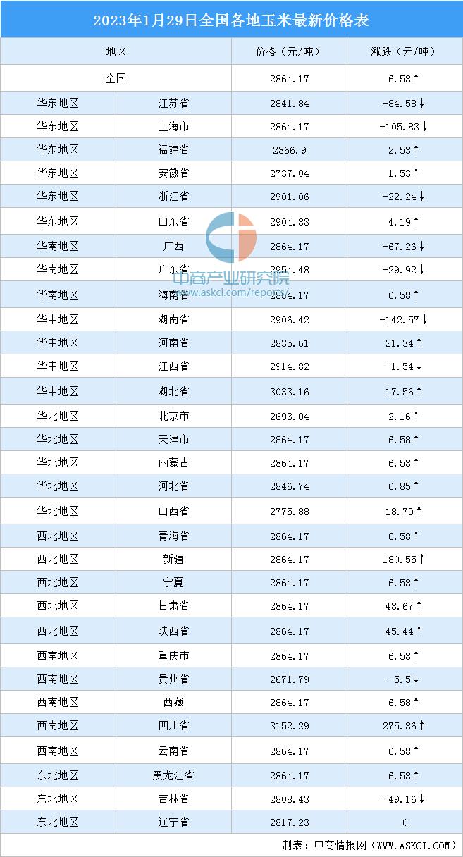 今日玉米價格最新動態(tài)，洞悉市場走勢的權威消息