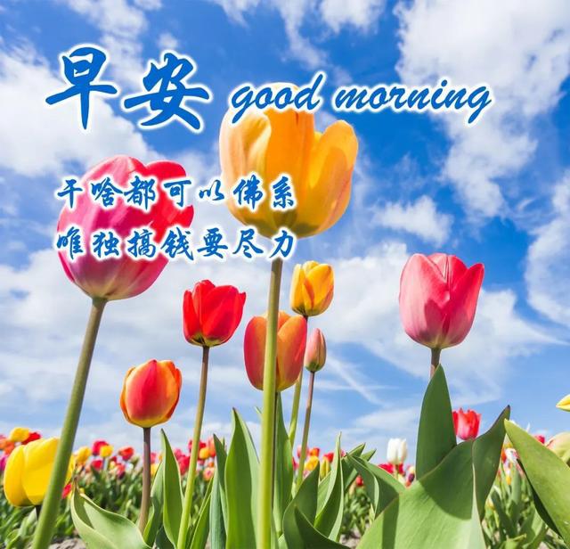 早上好最新圖片，開啟自信與成就感的旅程，探索學(xué)習(xí)變化的力量